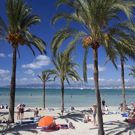 Whala!beach Hotel 3*