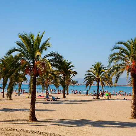 Whala!beach מלון 3*